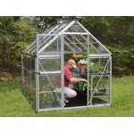 Harmony Clear Glazing Greenhouse Silver 6x8