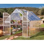 Essence TwinWall Glazing Greenhouse Silver 8x12