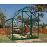 Harmony Clear Glazing Greenhouse Green 6x10