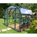 RIon Grand Greenhouse 8x8 Green Clear